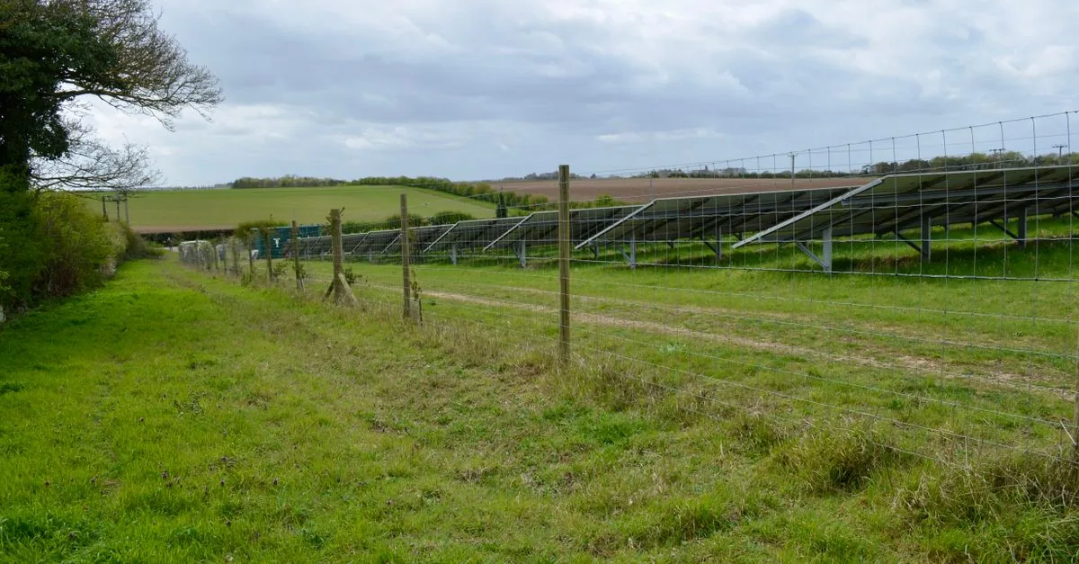 Il Tar Lazio ha smontato il no del comune all'agrivoltaico