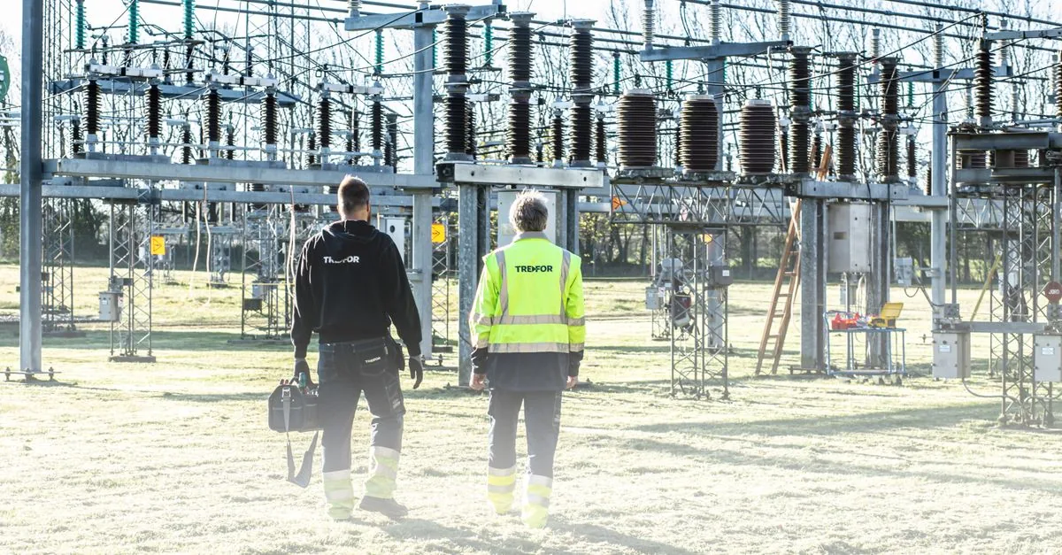 La Germania delle batterie ha superato la rete
