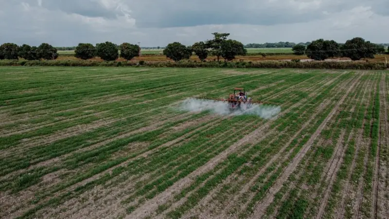 L'agricoltura è ancora intoccabile