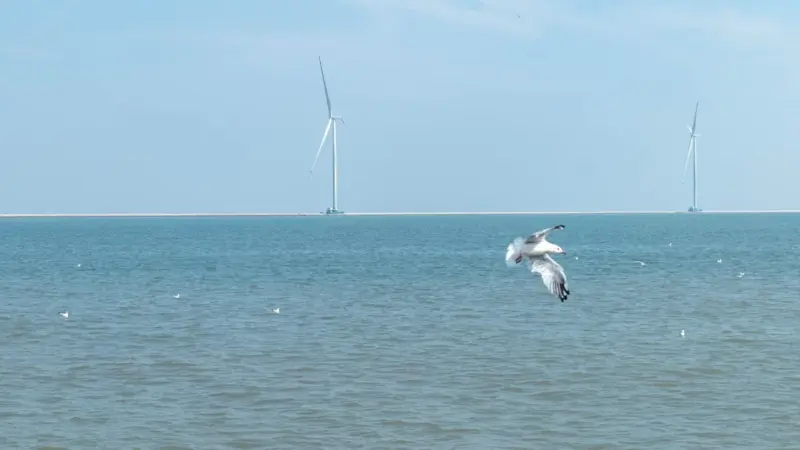 Sumitomo abbandona l’eolico offshore belga