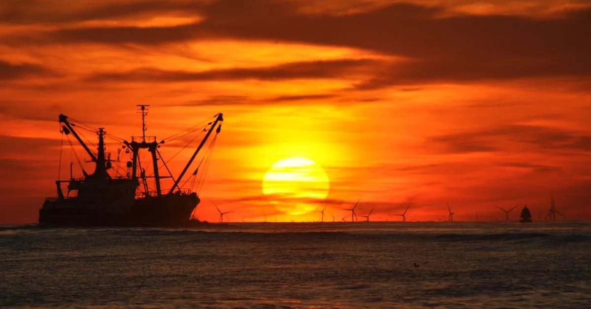 Gasunie cerca 40 MW di eolico offshore