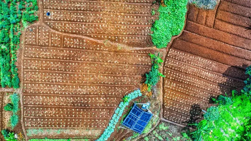 Il Veneto lega la semplificazione all'80% di produzione agricola