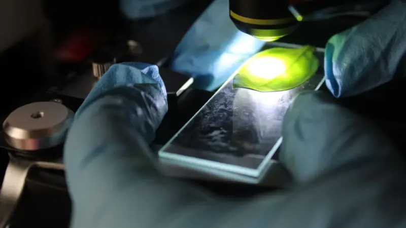La perovskite si aggiunge ai pannelli come un condimento