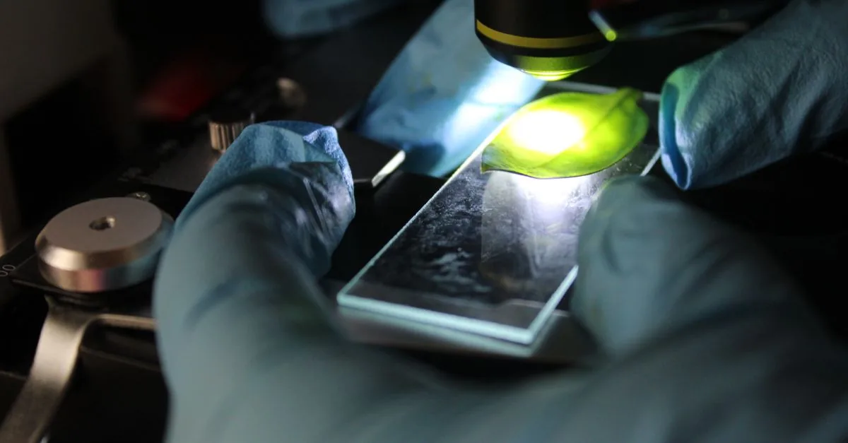 La perovskite si aggiunge ai pannelli come un condimento