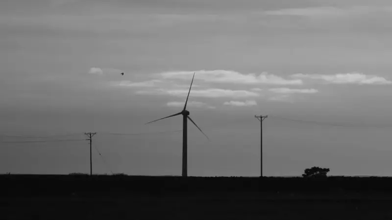 L'Europa non usa l'elettricità pulita che produce