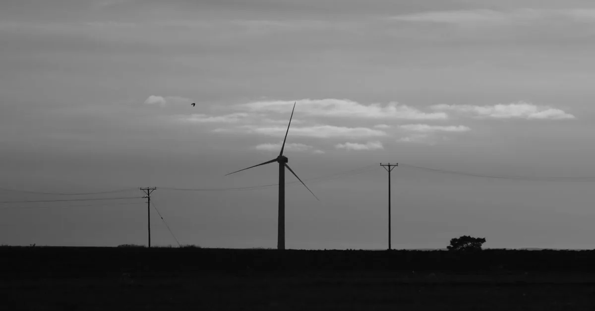 L'Europa non usa l'elettricità pulita che produce