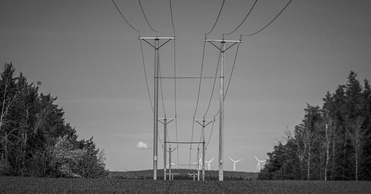 Chi possiede davvero l'energia verde che paghi in bolletta?