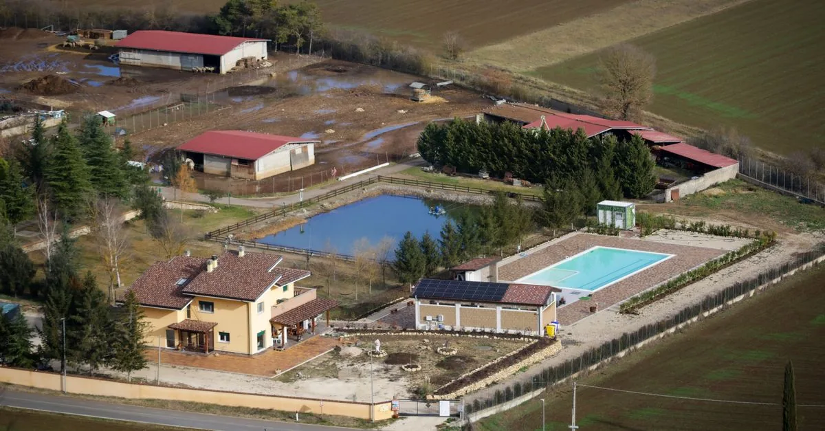 Il Club Natació Barcelona scalda le piscine con il sole