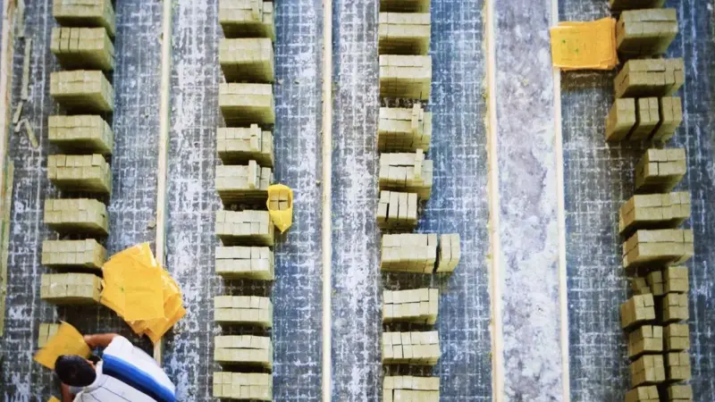 Il Nord America ha un solo impianto per le batterie LFP