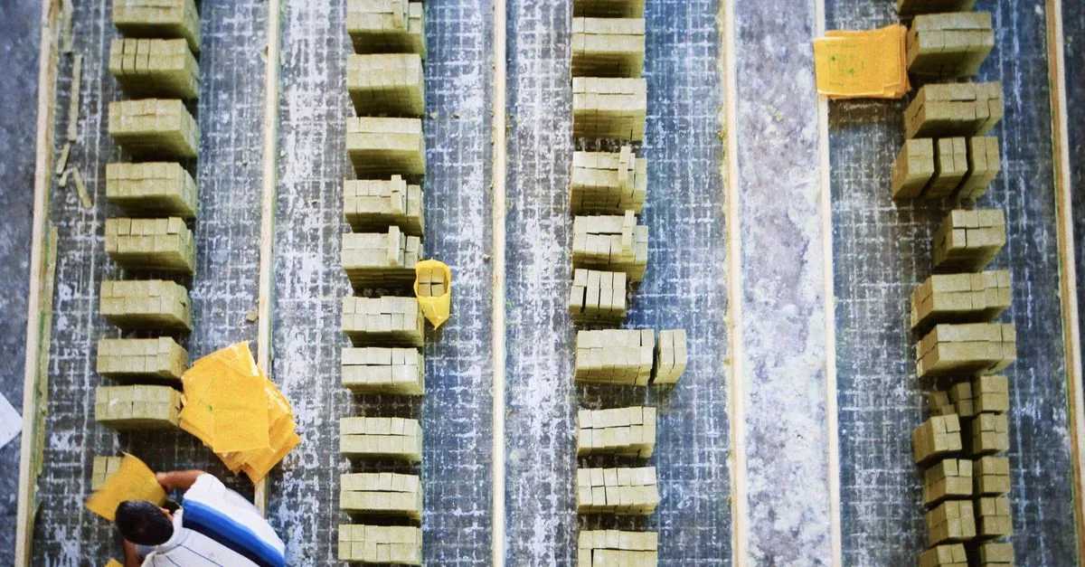 Il Nord America ha un solo impianto per le batterie LFP