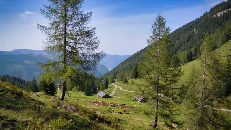 In Valle d'Aosta il bando per gli alpeggi copre metà spesa