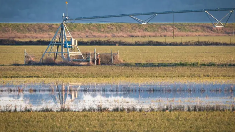 La Lombardia dà 17 milioni ai consorzi di bonifica