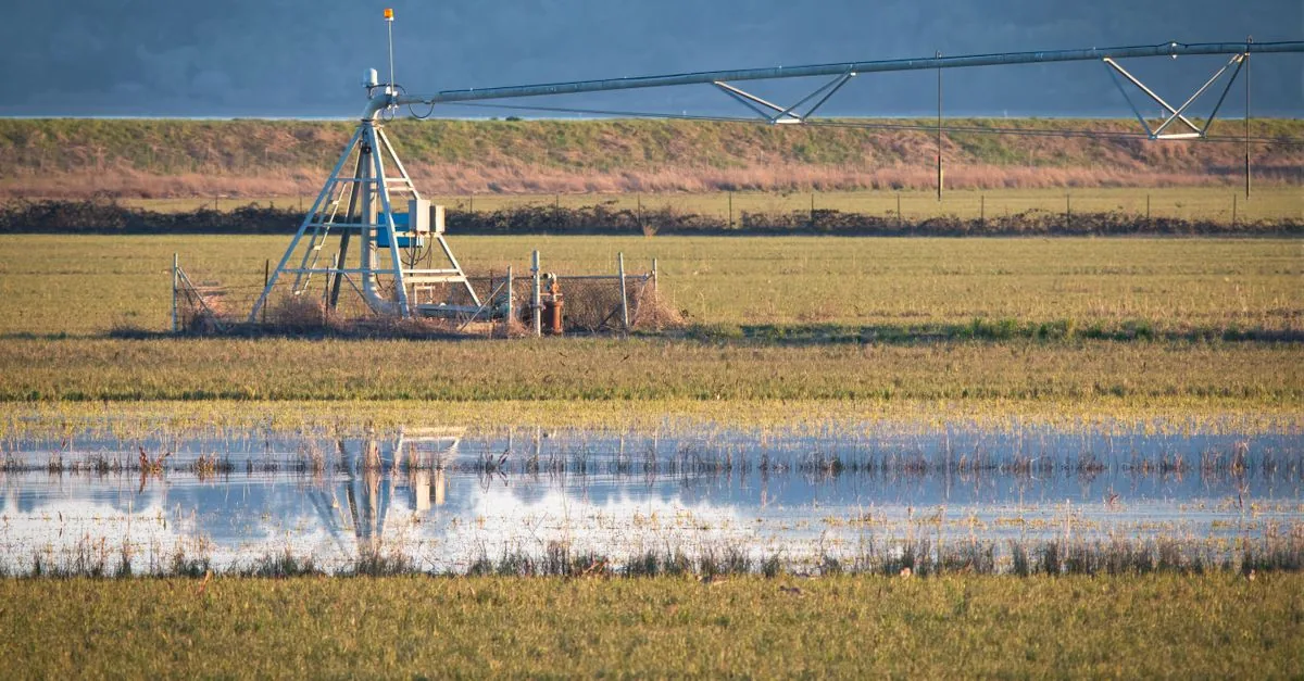 La Lombardia dà 17 milioni ai consorzi di bonifica