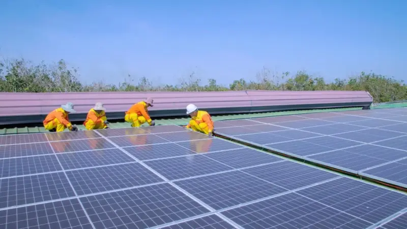 L'erba sotto i pannelli solari non produce più elettricità
