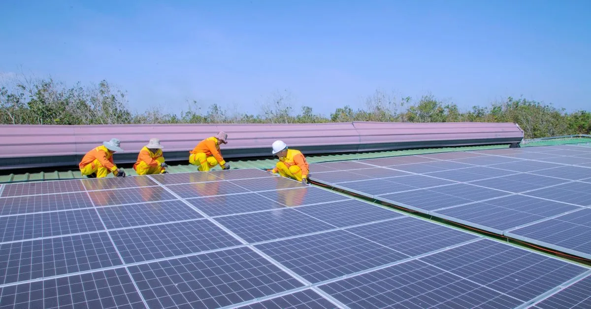 L'erba sotto i pannelli solari non produce più elettricità