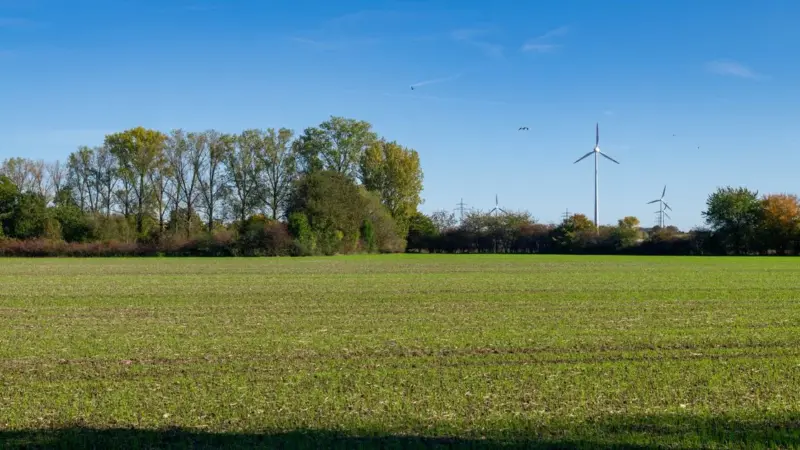 In Italia la rete ha spento 802 gigawattora di rinnovabili