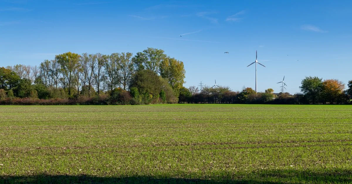 In Italia la rete ha spento 802 gigawattora di rinnovabili