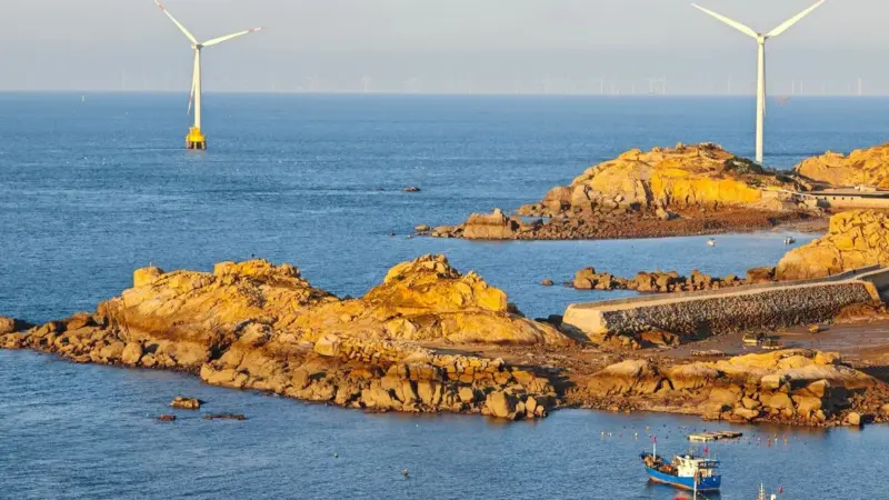 L'Australia ha messo un limite alle balene dell'elettricità