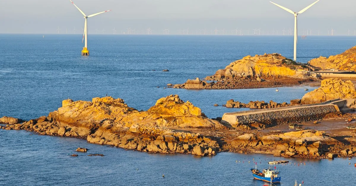 L'Australia ha messo un limite alle balene dell'elettricità