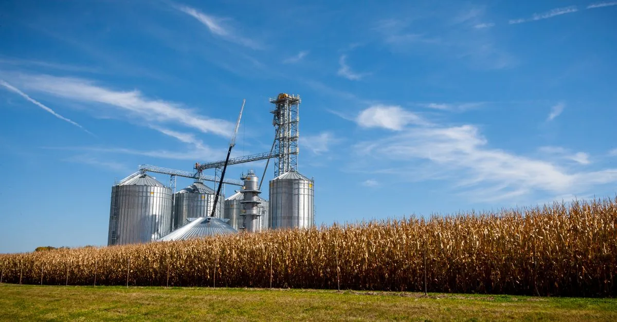 Quattro impianti agricoli raddoppieranno il biometano italiano