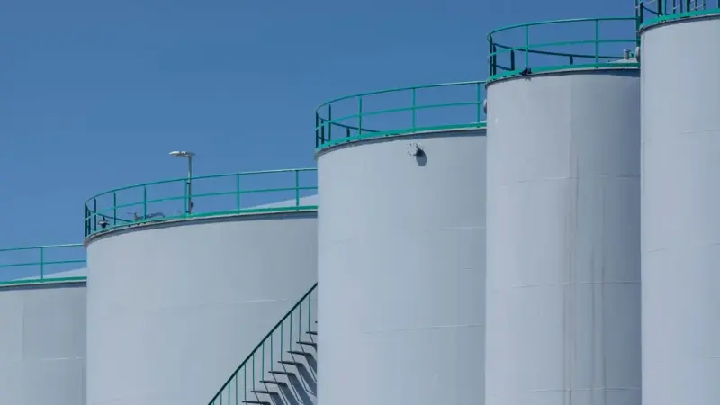 Snam ha messo in vendita Bioenerys